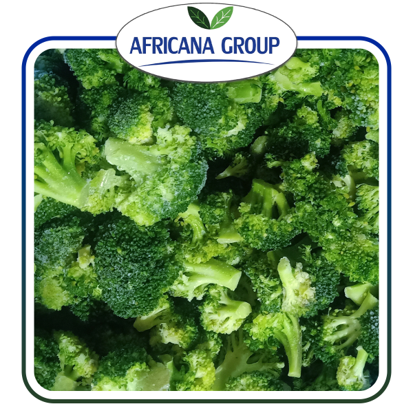 Frozen Broccoli