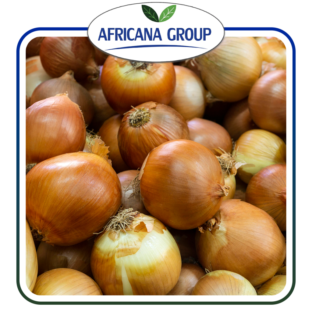 GOLDEN ONIONS