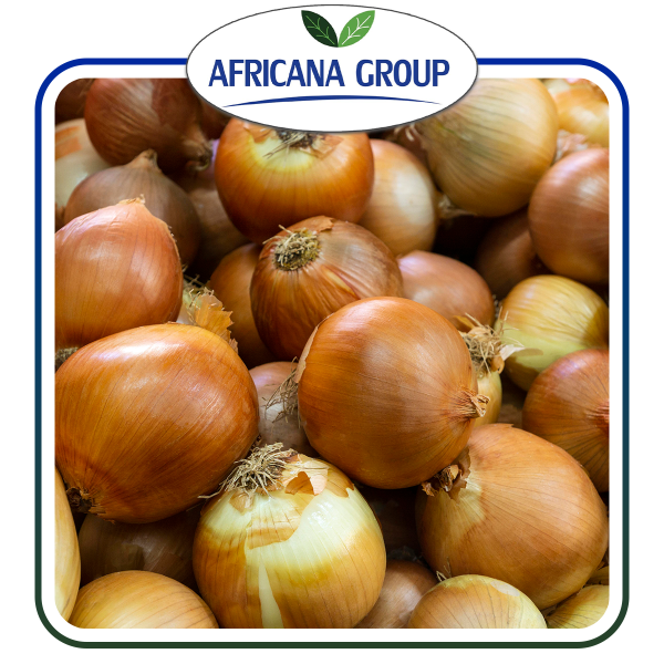 GOLDEN ONIONS