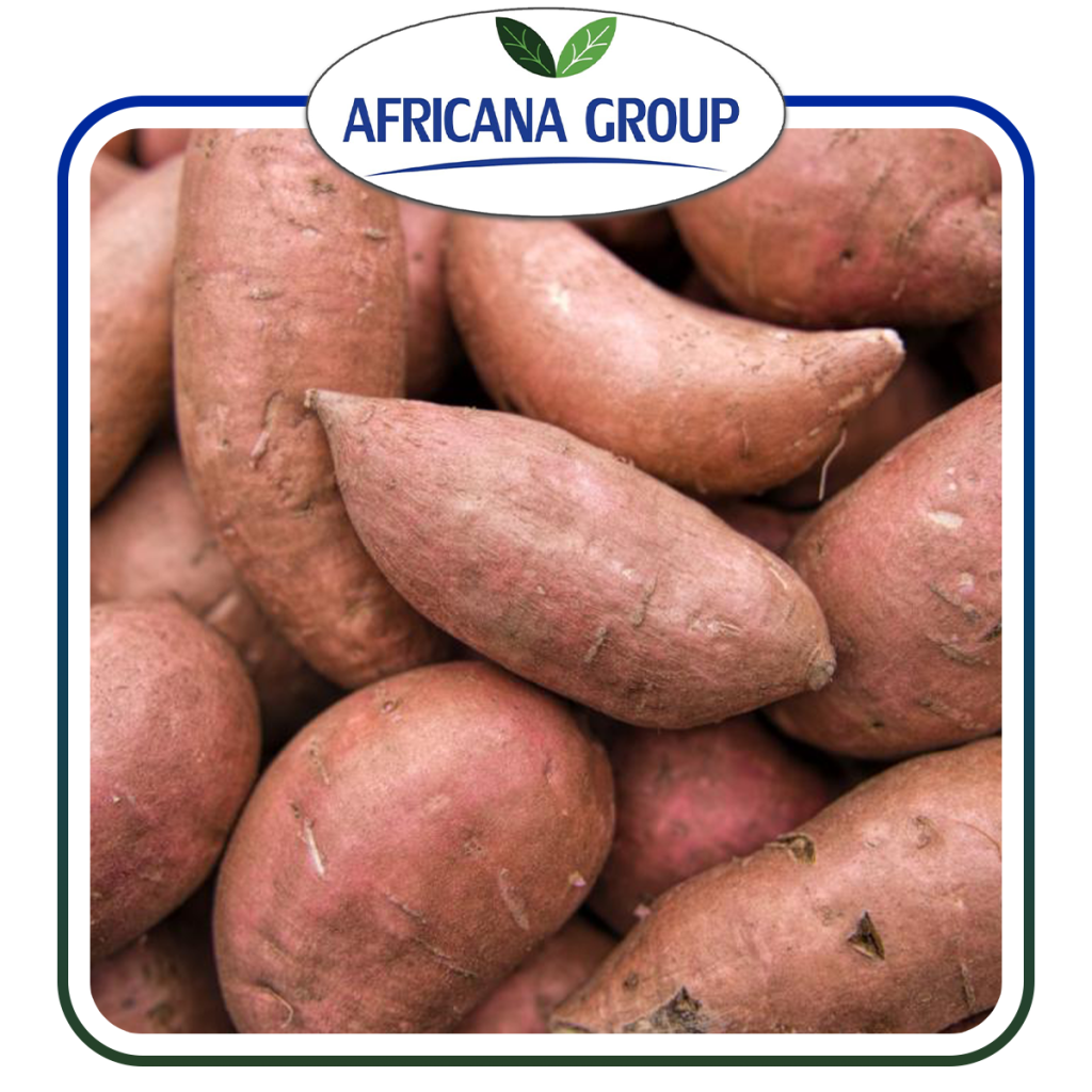 SWEET POTATOES