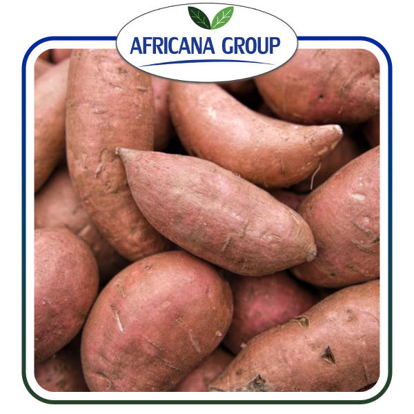 SWEET POTATOES